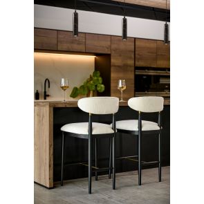 Celeste Counter Kruk