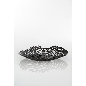 Nassau Korallenschale Bronze