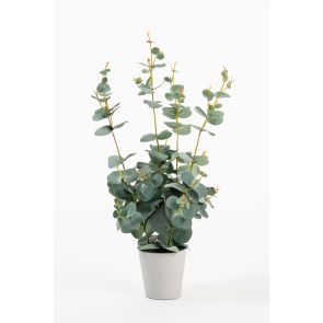 Potted Artificial Eucalyptus Plant