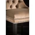 Antoinette Bar Stool Taupe-view4