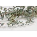 Artificial Eucalyptus Vine-view3