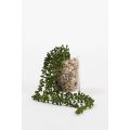 Artificial String of Pearls Vine-view1