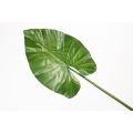 Artificial Large Elephants Ear Leaf-view3