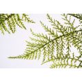 Artificial Large Fern Leaf-view2