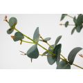 Artificial Large Eucalyptus Stem-view3