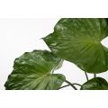 Potted Artificial Elephants Ear Plant-view3