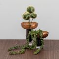 Petit vase en verre - Cognac-view2