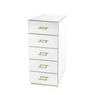 Harper Hoge Ladenkast van Spiegelglas - Champagne Gouden Details