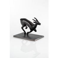 Antilope Scultura