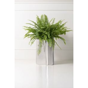 Ovale prullen/plantenbak - Chroom