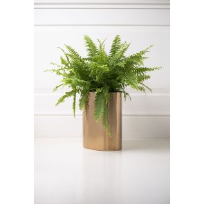 Oval Bin/Planter - Brass