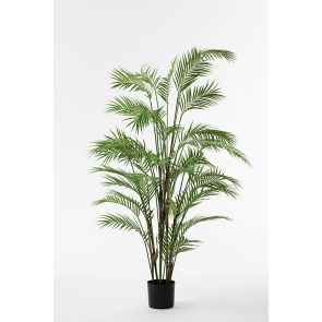 Large Artificial Kentia Palm