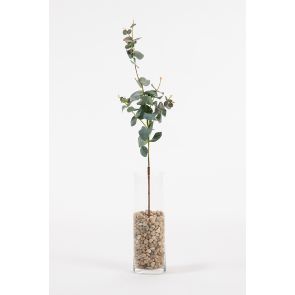 Artificial Large Eucalyptus Stem