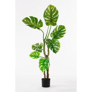 Large Artificial Cheese Plant