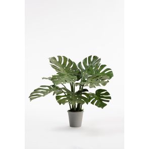 Potted Artificial Cheese Plant