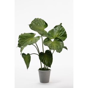 Potted Artificial Elephants Ear Plant