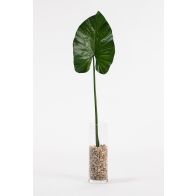 Artificial Large Elephants Ear Leaf