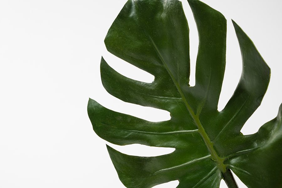 Artificial Large Cheese Plant Leaf-view3