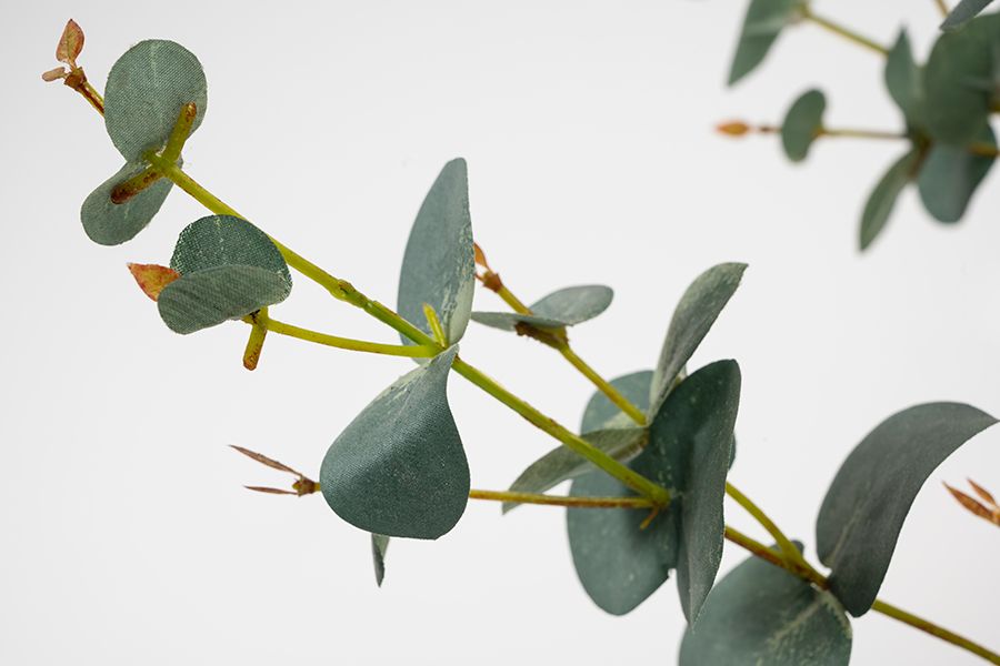 Artificial Large Eucalyptus Stem-view3