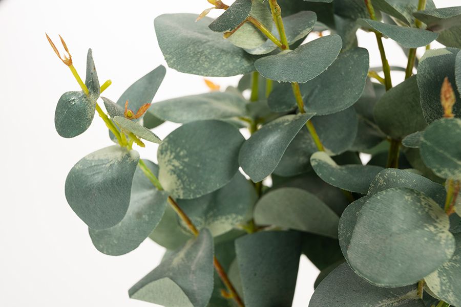 Potted Artificial Eucalyptus Plant-view3