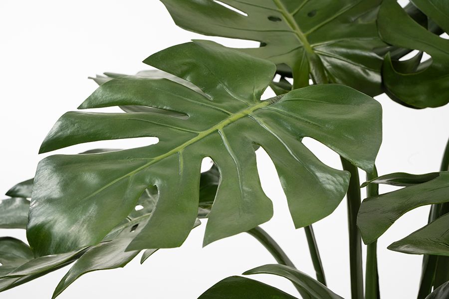 Potted Artificial Cheese Plant-view3