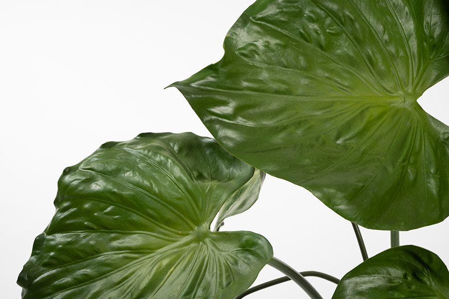 Potted Artificial Elephants Ear Plant-view3