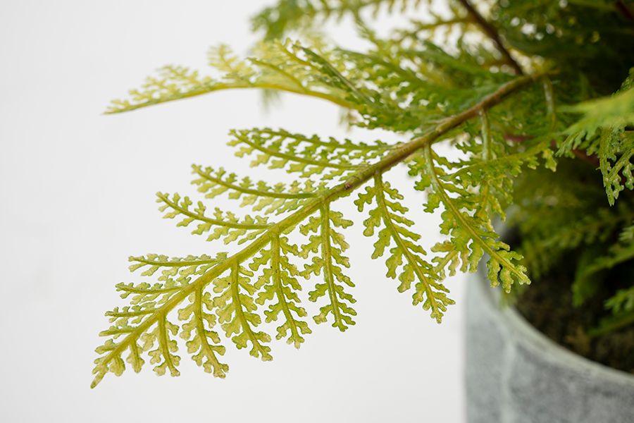 Potted Artificial Fern Plant-view2