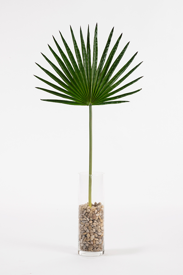 Image of Artificial Large Fan Palm Leaf