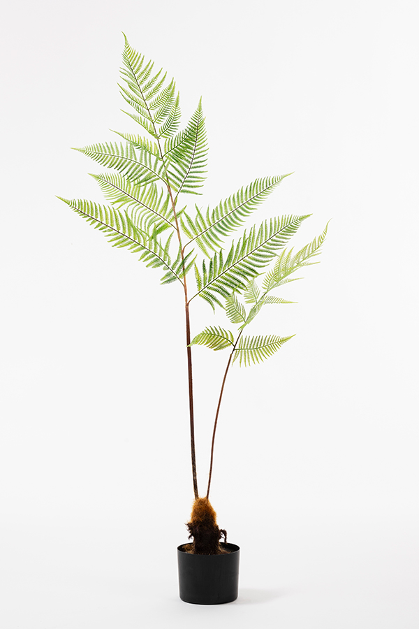 Image of Large Artificial Fern Plant