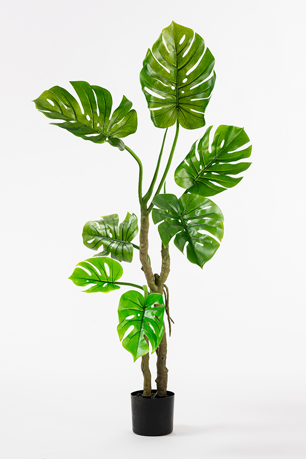 Large Artificial Cheese Plant