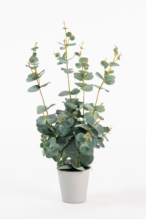 Image of Potted Artificial Eucalyptus Plant
