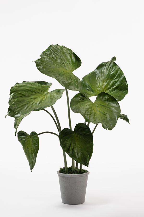 Potted Artificial Elephants Ear Plant